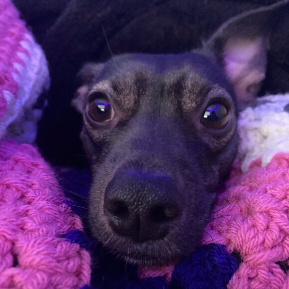 Cottagecore Handbags - SOLD